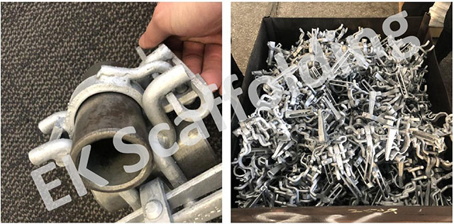 홀랜드 더블 커플러 쇼 07