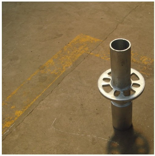 링 록베이스 칼라