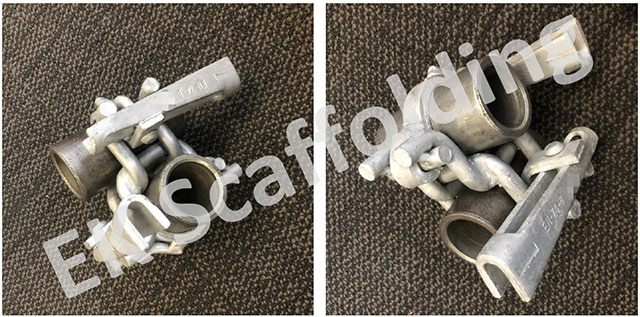 홀랜드 더블 커플러 쇼 06