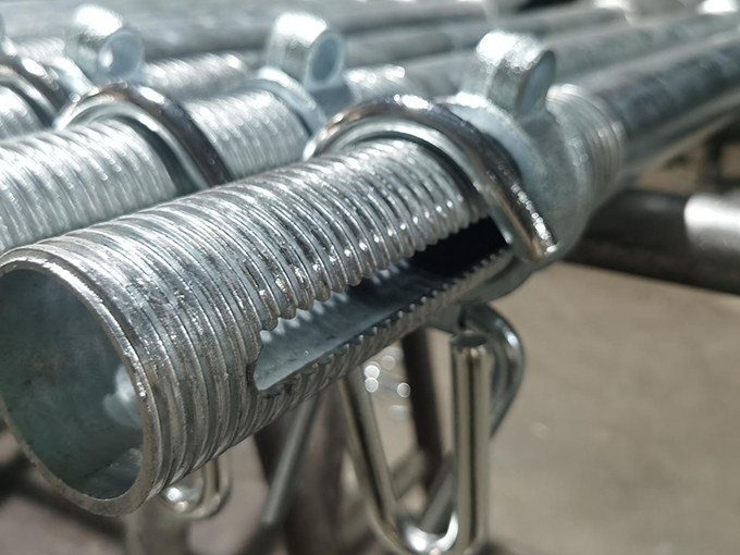 포스트 쇼어 너트