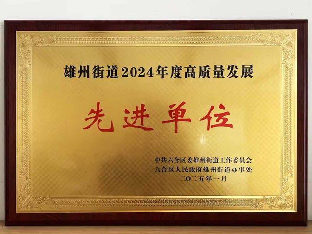 2024 年度高质量发展先进单位